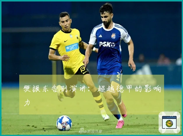 樊振东告别演讲：超越德甲的影响力